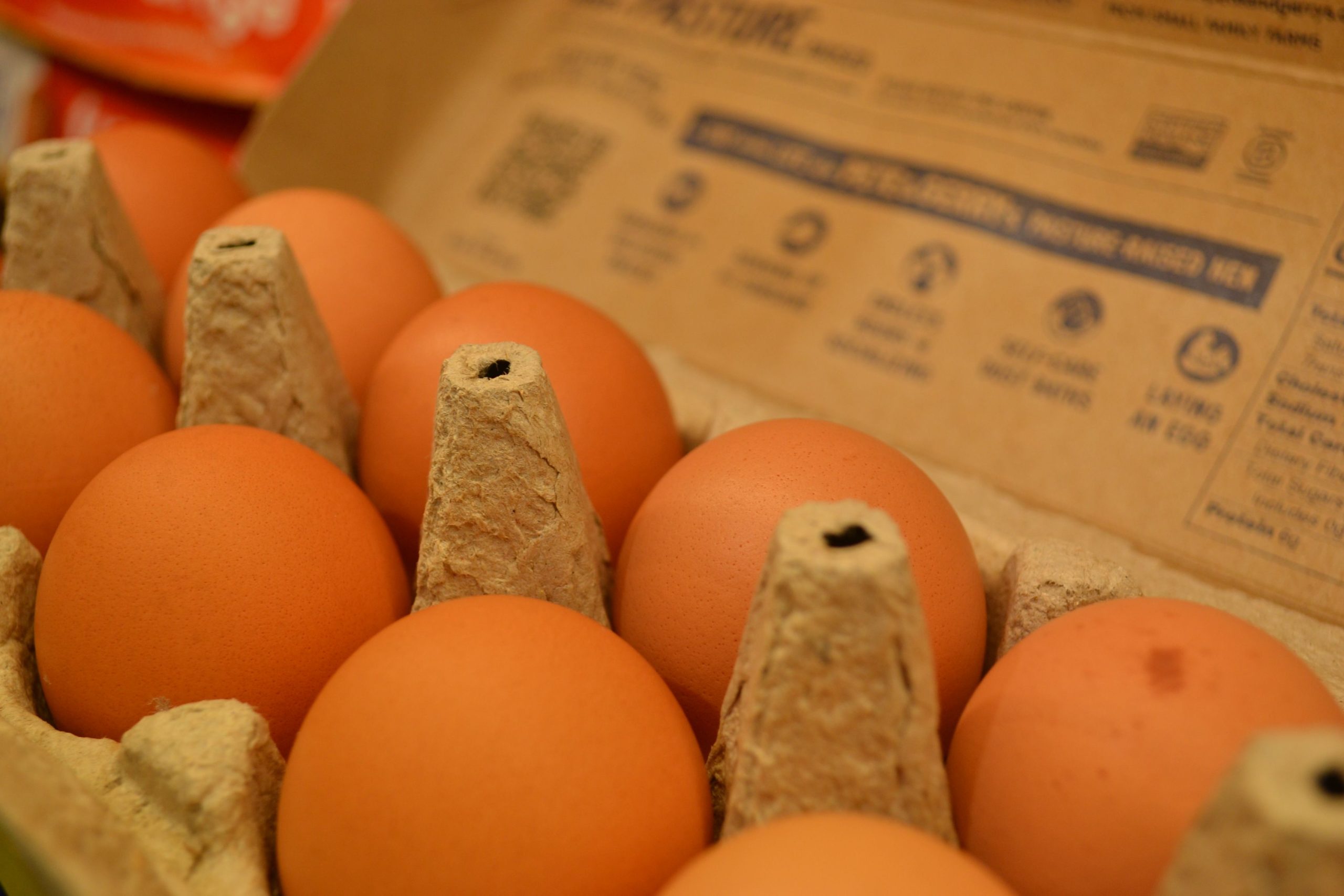 Œufs bruns en détail dans boîte carton