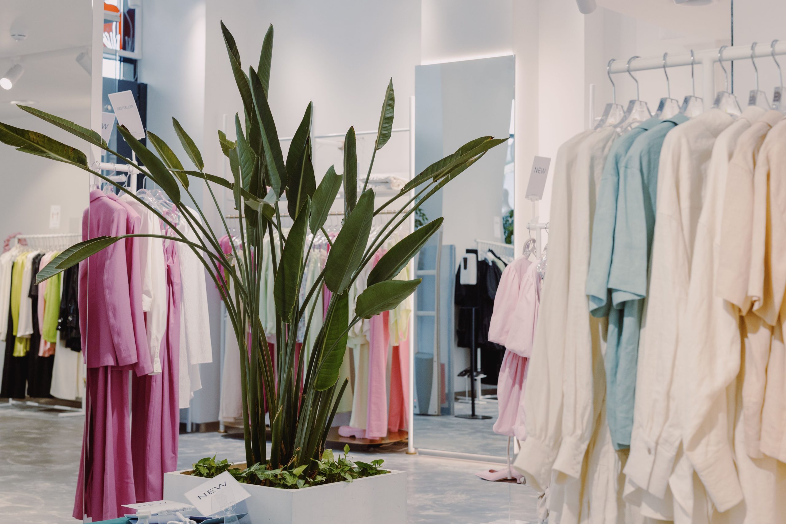 Boutique aérée avec vêtements pastel et plante verte.